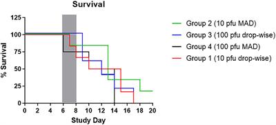 Delayed Disease in Cynomolgus Macaques Exposed to Ebola Virus by an Intranasal Route